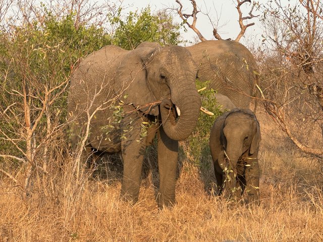 [Linked Image from i.postimg.cc]