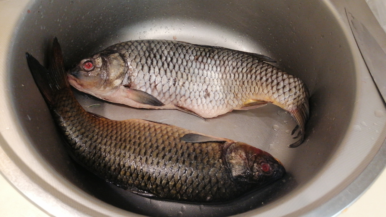 IMG-f9739405d7646efc991623111d34d0e0-V