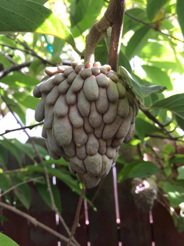 A6852EAB-190A-4B1D-994A-1147963A8B5F