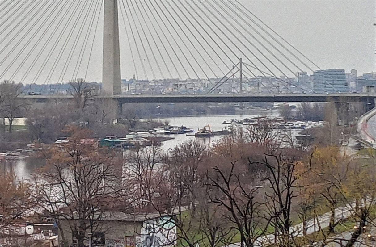 20201226_110319_HDR(1)