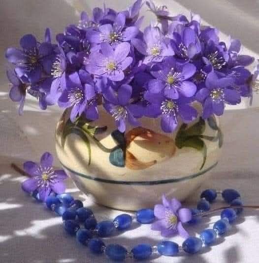 663314113-26627859986809682-3167611885801863197-n