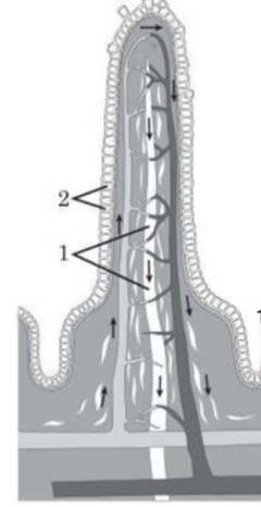 Знімок екрана з 2025 12 13 11 49 24