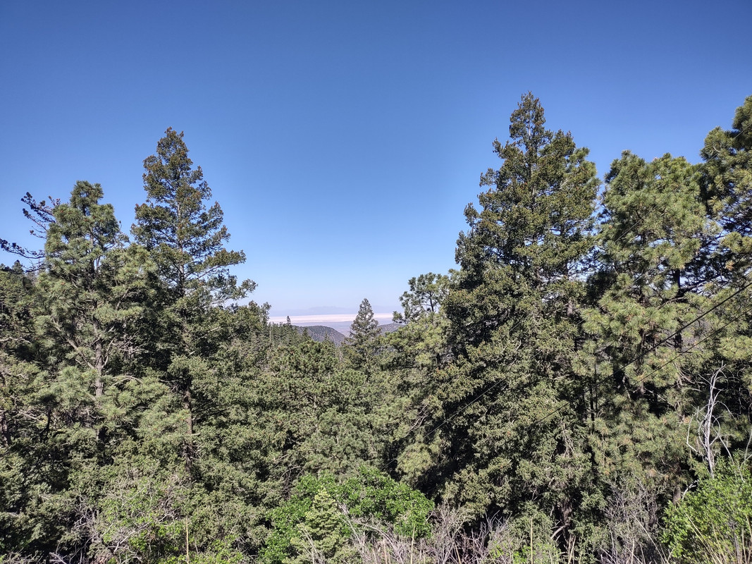 IMG_20250607_092723940_HDR