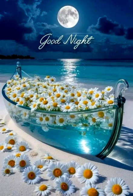 nightttt