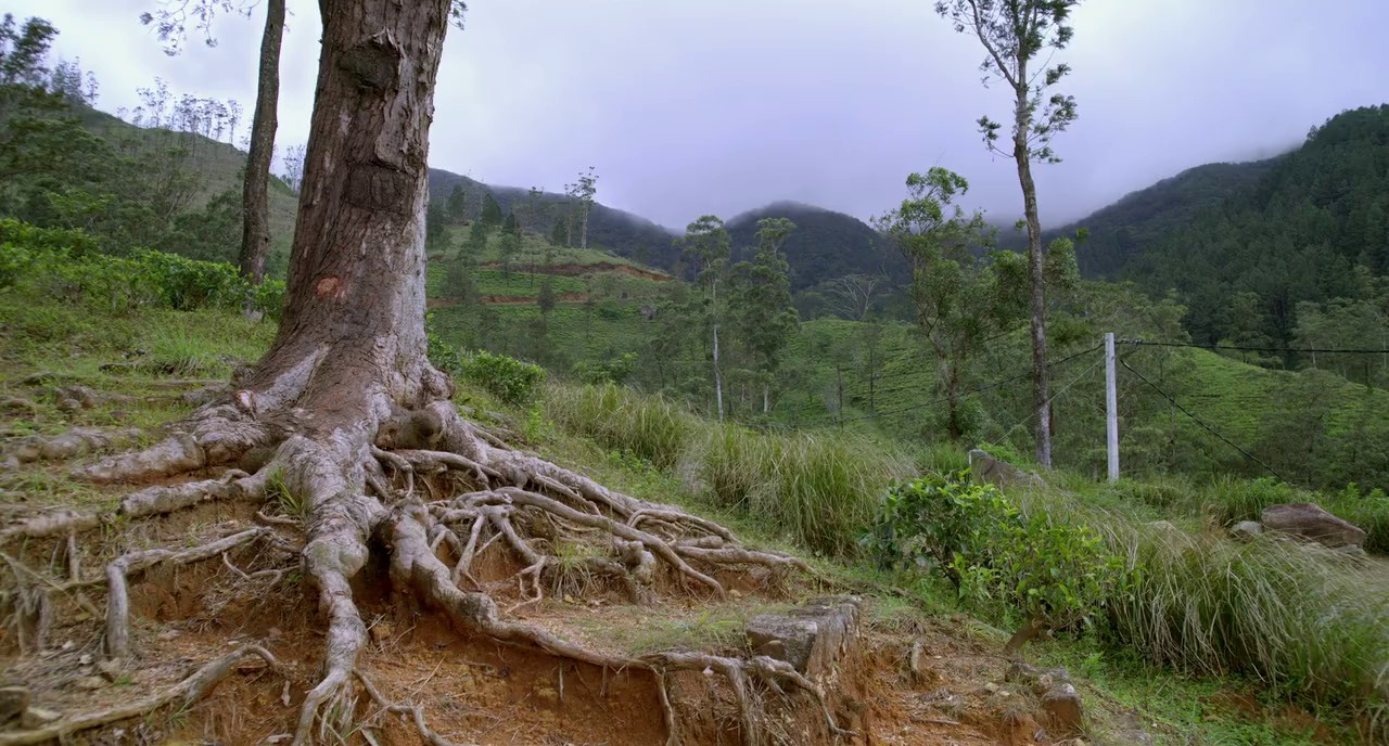 Paradise-2024-Malayalam-WEBRip-720p-x264-AVC-AC3-6ch-ESub-mkv-0000