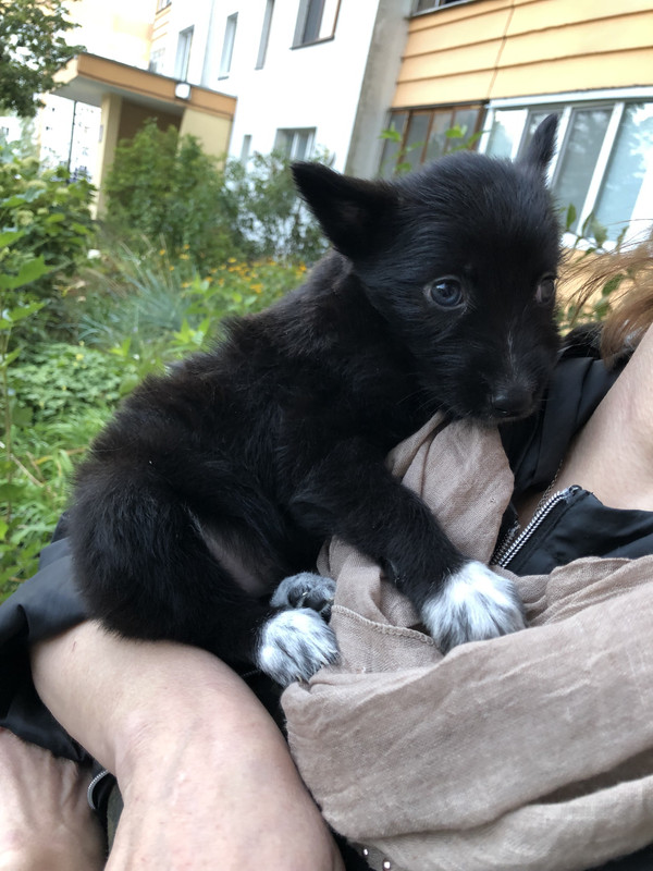 CA39C1CF-6654-4C12-845A-AD1C4EDB101E