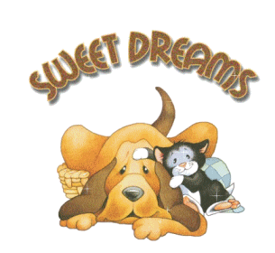 Sweet-Dreams-Dog-Cat