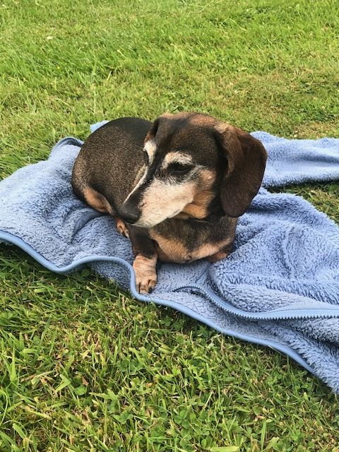 [Image: IMG-6617.jpg]