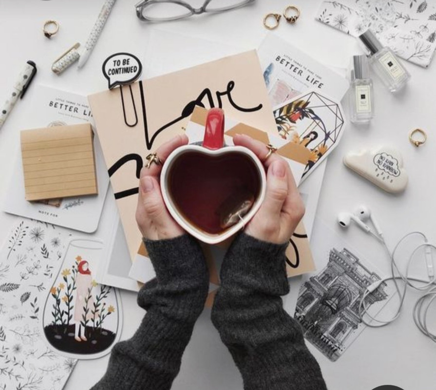 Screenshot_20230219_231042_Pinterest