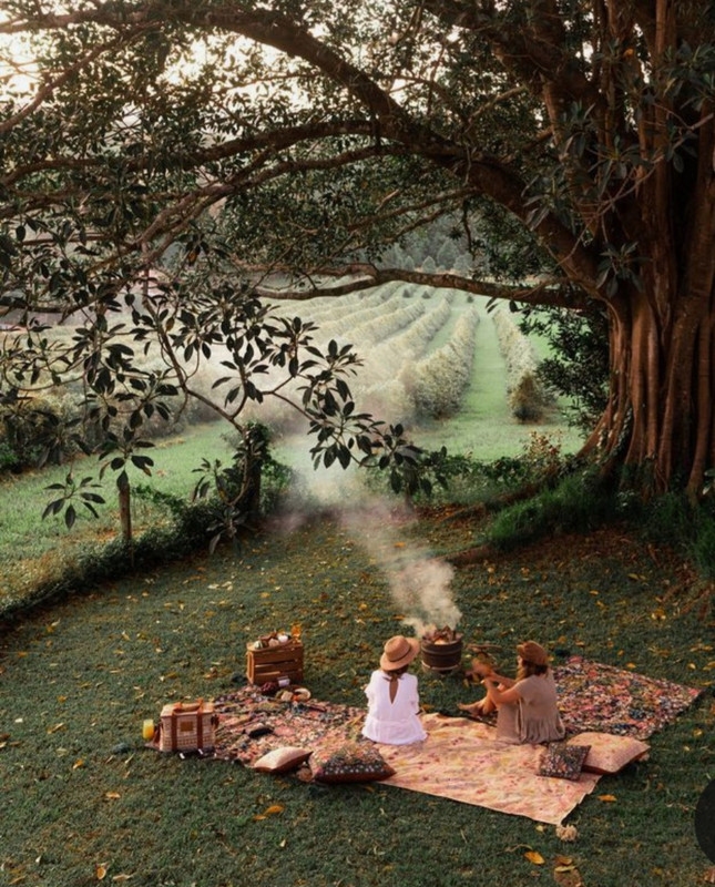 Screenshot_20231220_105719_Pinterest