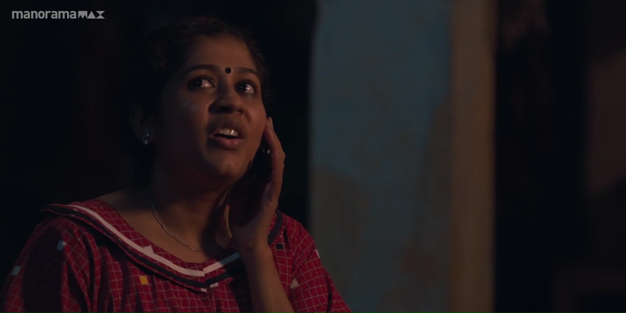 Swakaryam Sambhava Bahulam 2024 WebRip [Malayalam] 480p, 720p ESub Screenshot