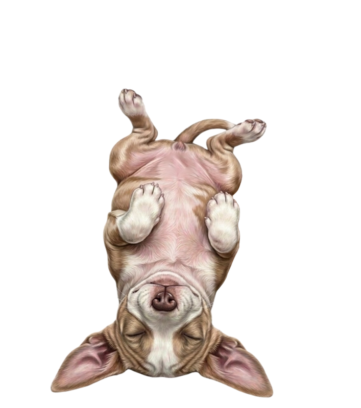 483 Sem Título 20260306224810