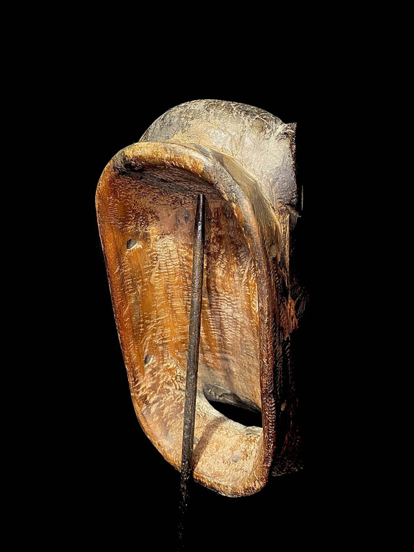 large image 12