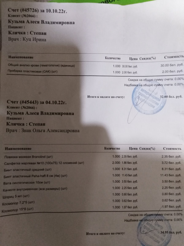 изображение_viber_2022-11-10_16-45-31-037