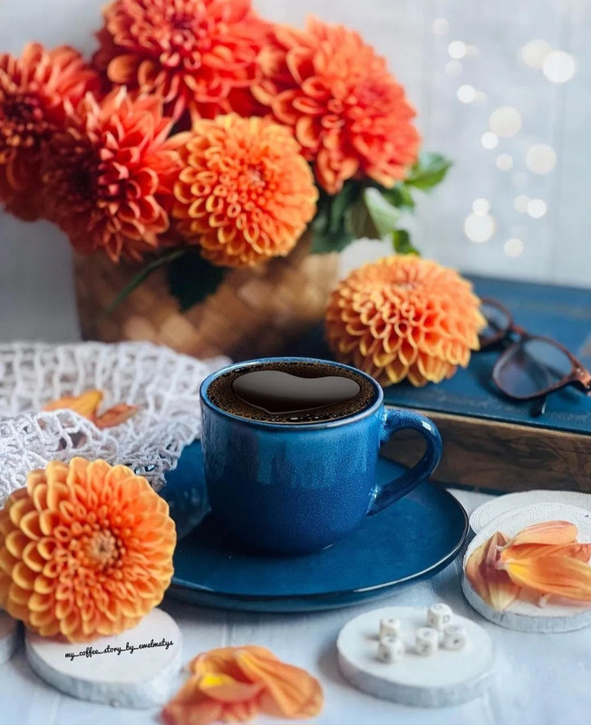 Screenshot_20240112_225520_Instagram