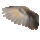 bird wing left