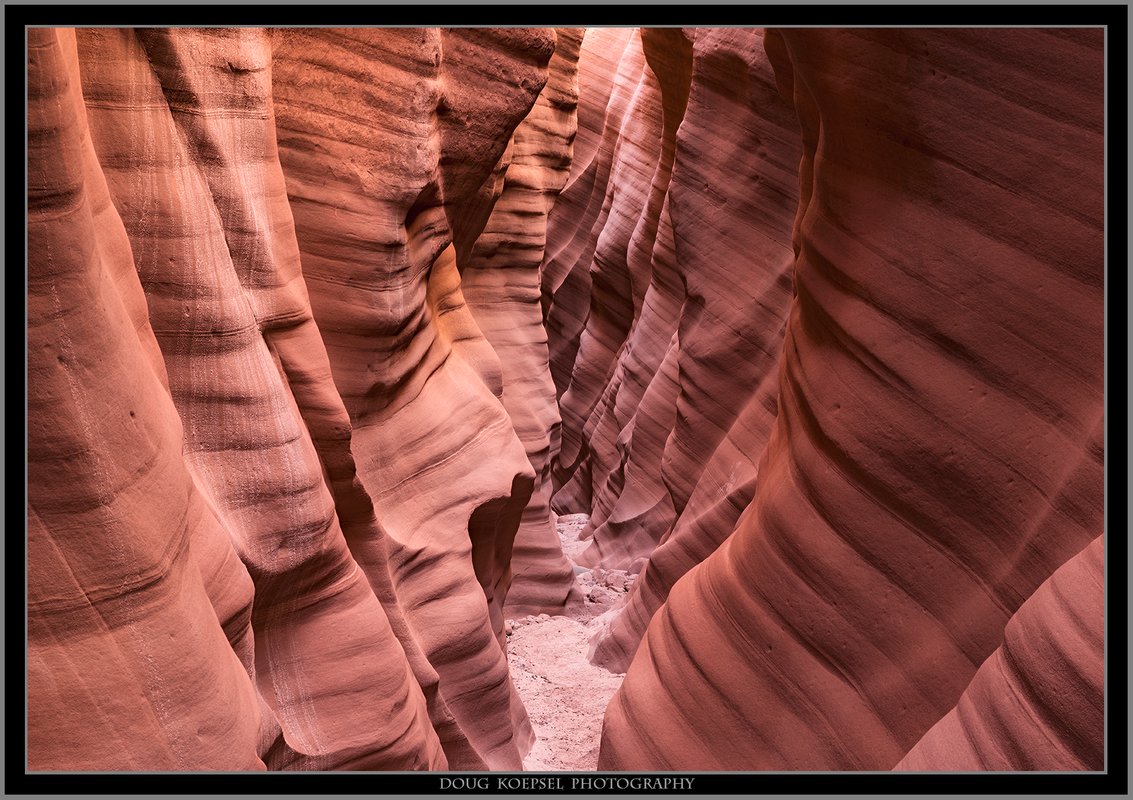 Ed1600TCGG155-162ZS PMax