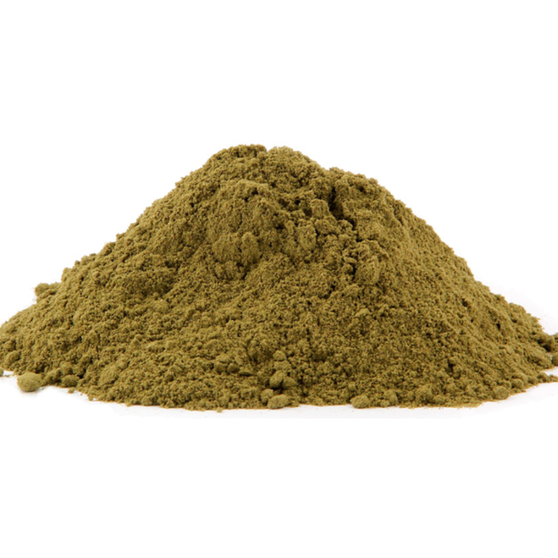 Arbor Vitae Leaves Powder