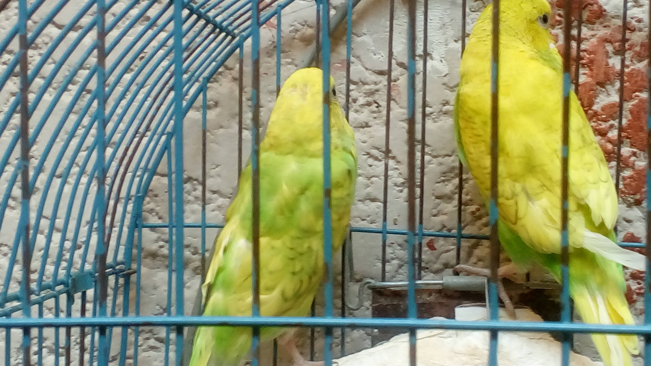 IMG_٢?١٨?٩?٢_١٣١٣?٥