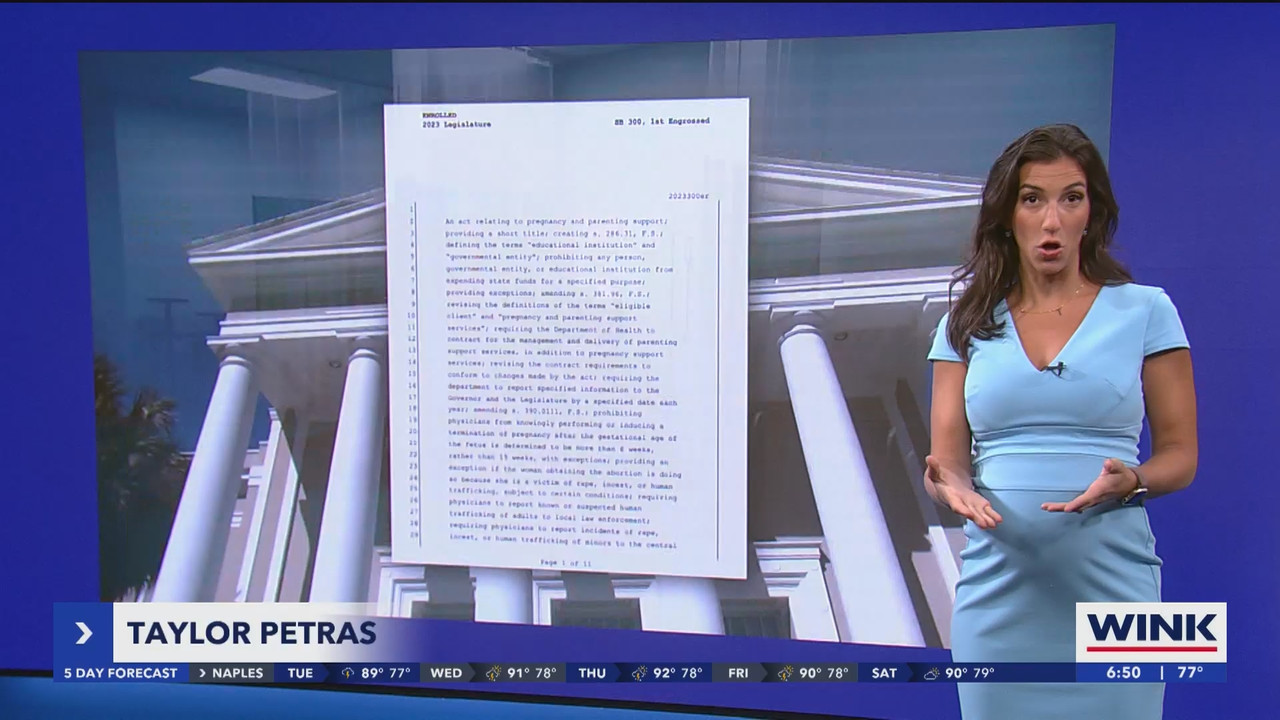 WINK News at 630am_20240903_11301200.ts_snapshot_21.00.043