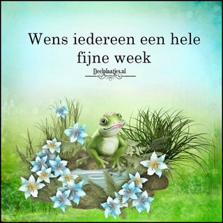 big-deelplaatjes-nl-fijne-week-400960