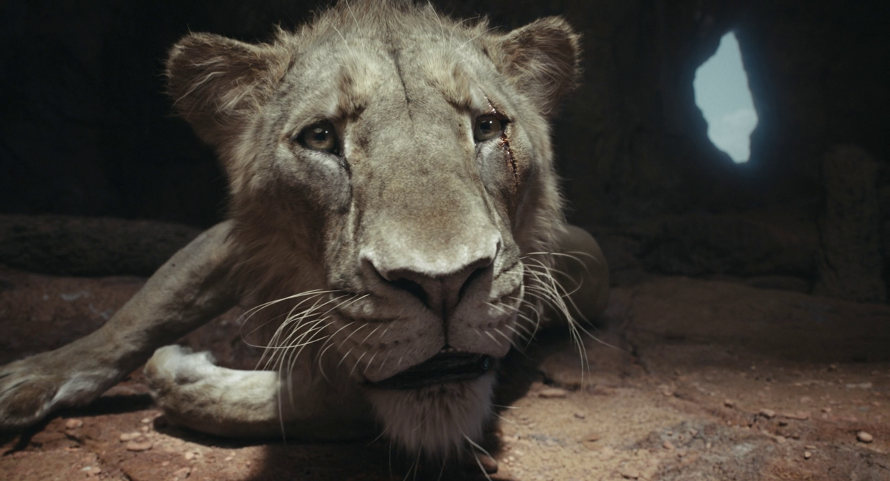 vlcsnap-2025-02-19-18h24m18s111