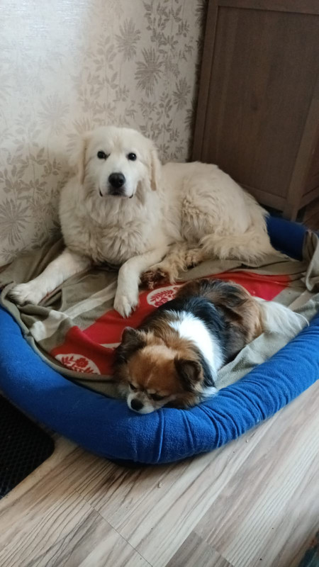 8673EBB8-B8BB-4AF6-9FF5-751507BCD6E0