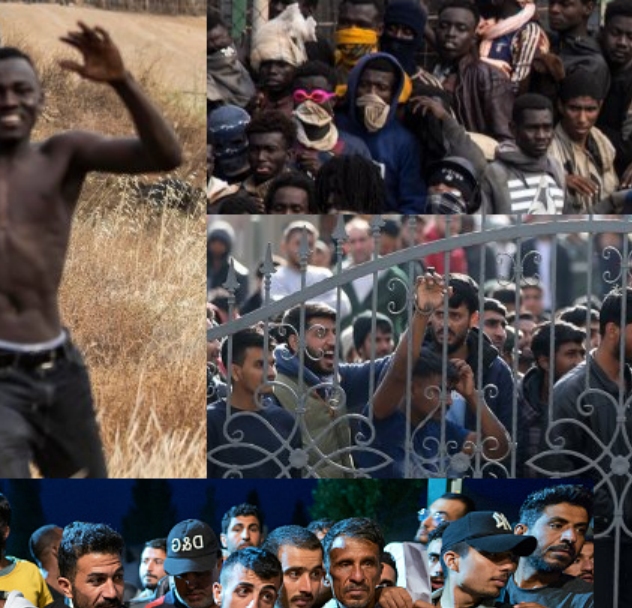 Warum wollen Syrer Deutschland nicht verlassen?