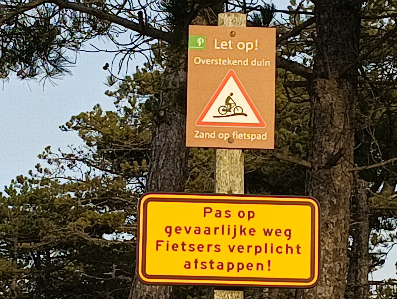 [Afbeelding: IMG-20251222-111305-1.jpg]