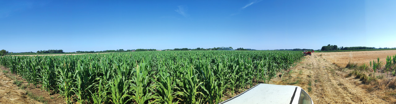 PANO-20250630-084458.jpg
