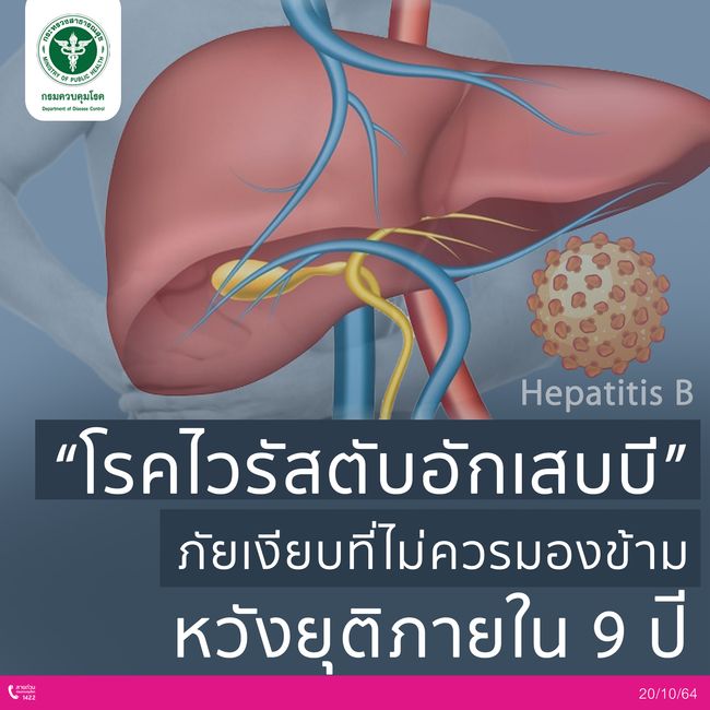 กรมควบคุมโรค เร่งสร้างความรอบรู้เรื่อง ?โรคไวรัสตับอักเสบบี? ภัยเงียบที่ไม่ควรมองข้าม หวังยุติภายใน 9 ปี