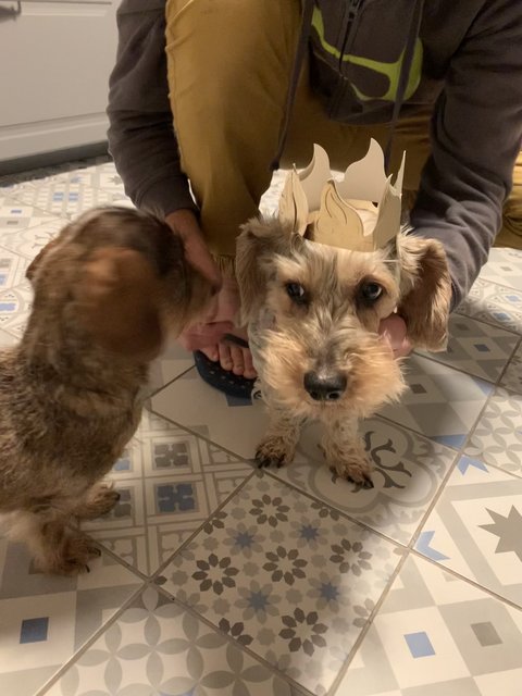 [Image: C552-F751-2-D96-42-E5-BF1-B-0-FCFCAD629-DD.jpg]