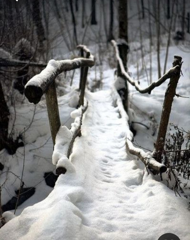 Screenshot_20231212_201816_Pinterest