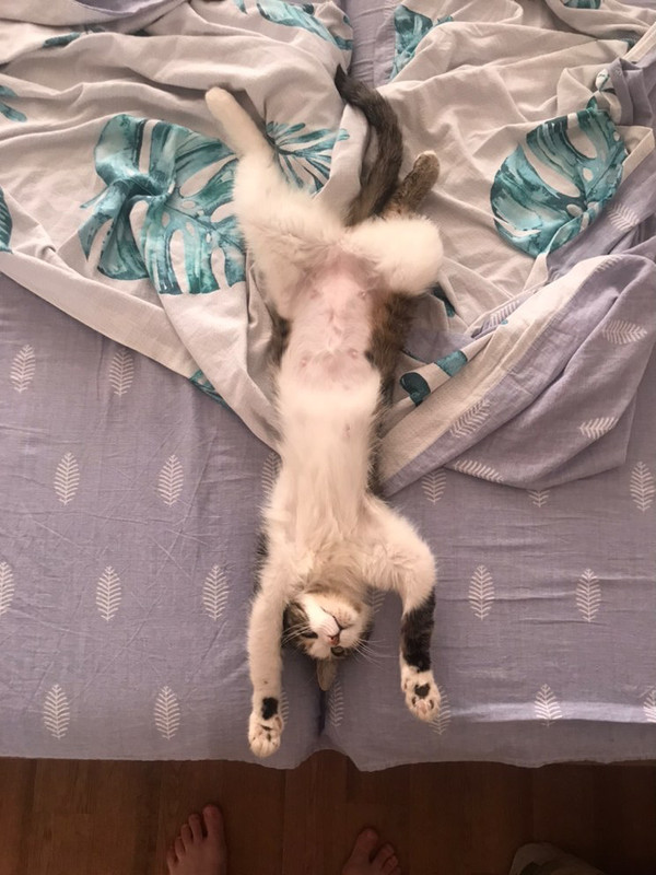 6FD654A3-F938-4987-A6A3-2037A6D5BA01