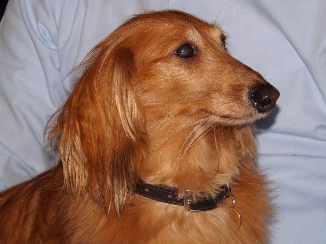 [Image: DSCF2958.jpg]