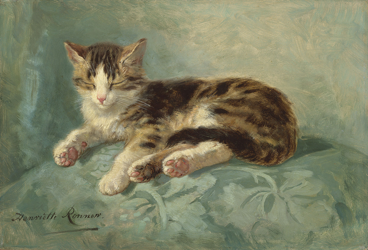2020-CKS-17295-0251-000-henriette-ronner-knip-cat-nap