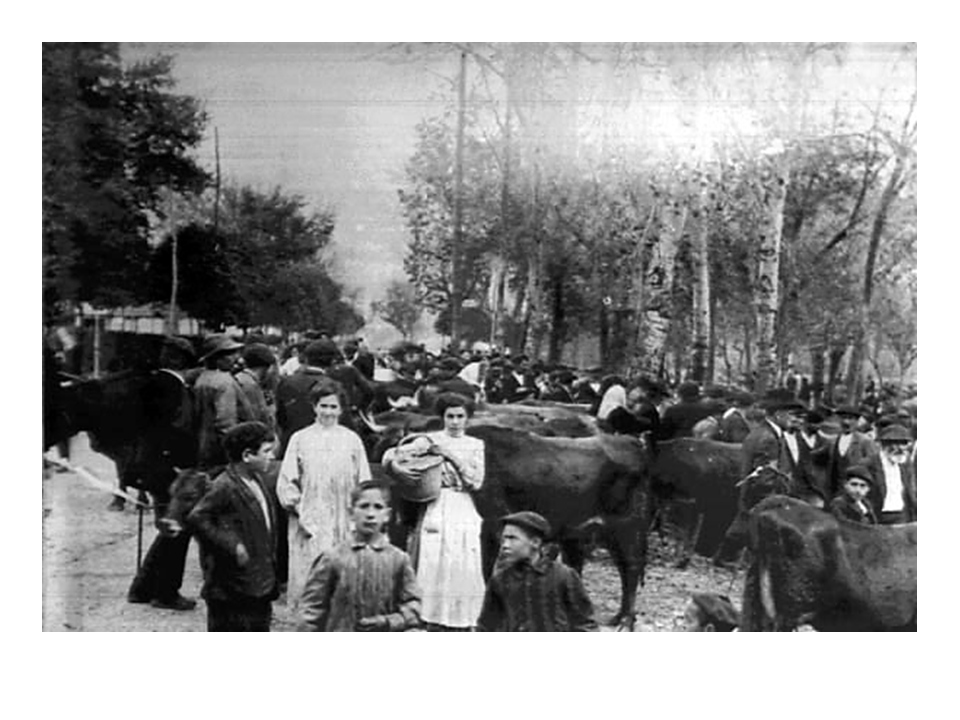 MERCADO DE LOS MIÉRCOLES