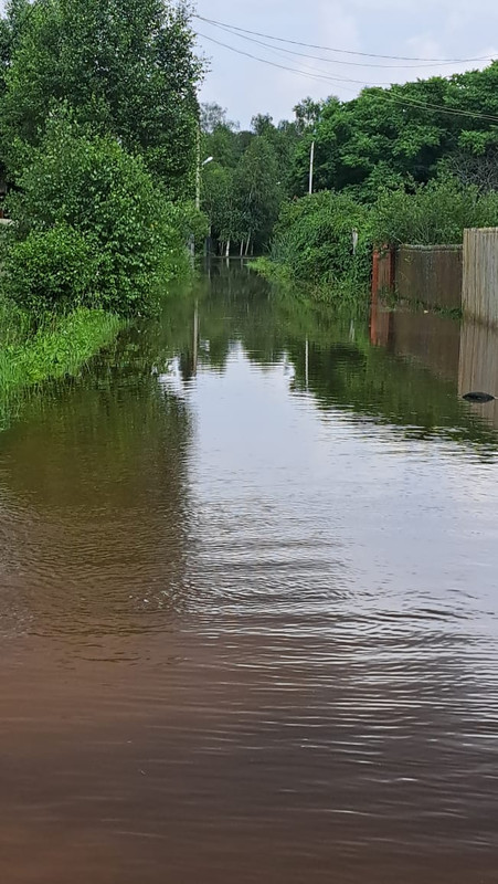 Изображение WhatsApp 2025-07-23 в 10.29.53_fc582680