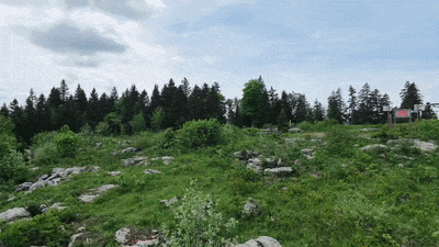 https://i.postimg.cc/fbVM9rX8/DJI-20260530124917-0044-D-ezgif-com-optimize.gif