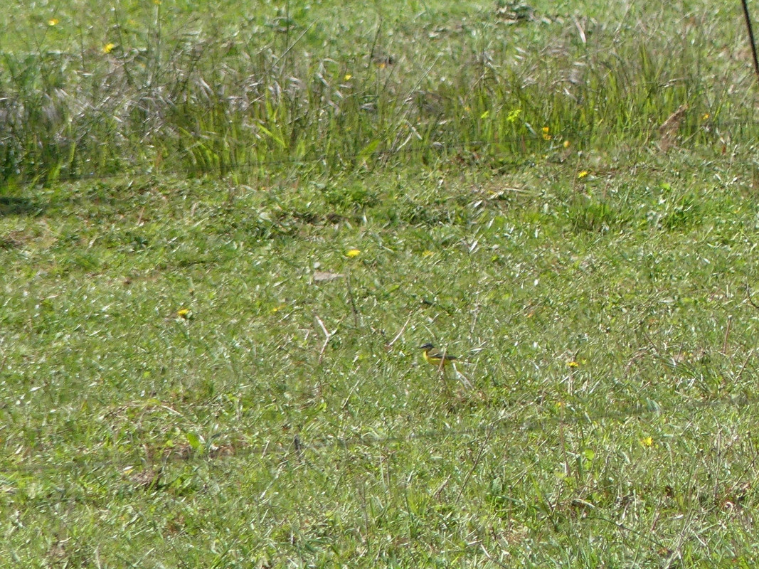 D1C82071-BDCA-44AE-ABDB-AE50FBA68905