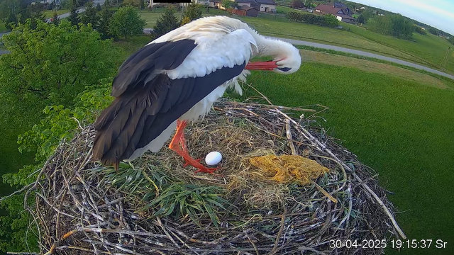 Przechwytywanie w trybie pełnoekranowym 30.04.2025 233541