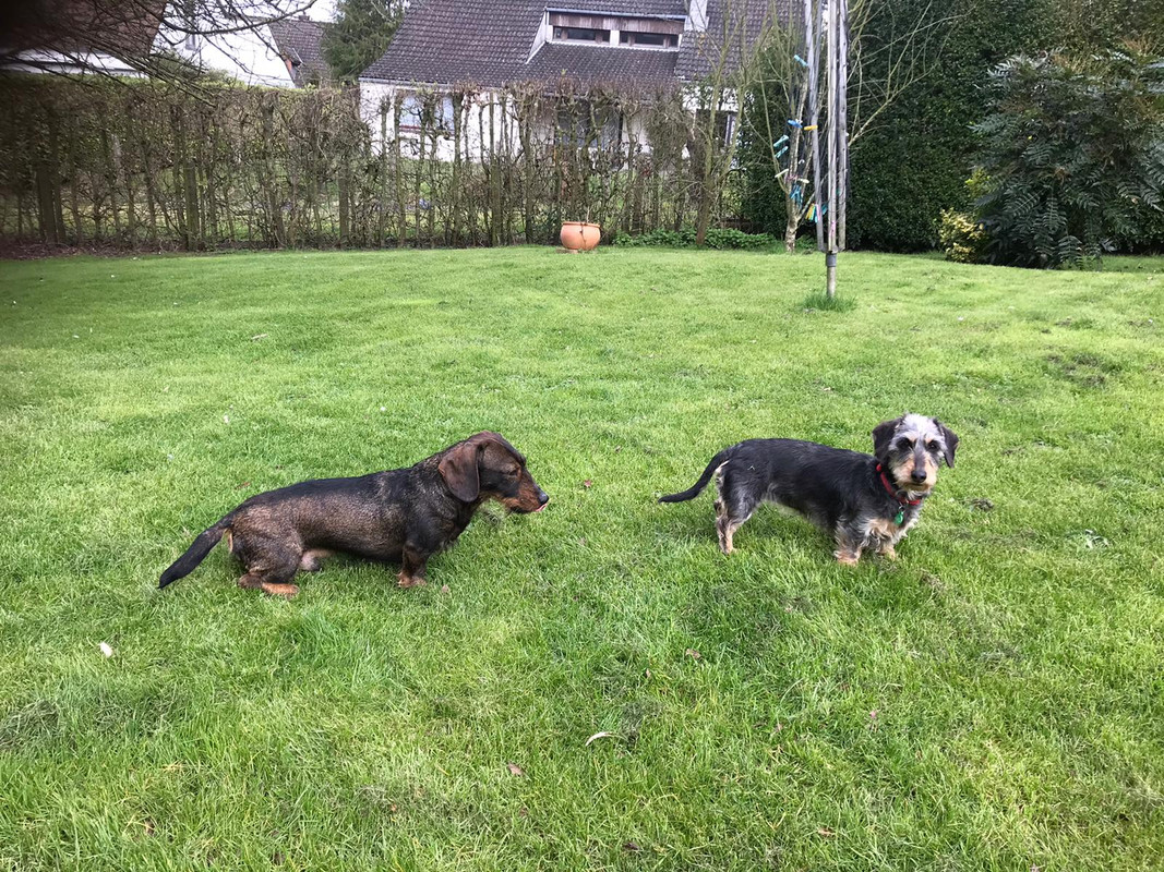 [Image: IMG-20240312-WA0005.jpg]