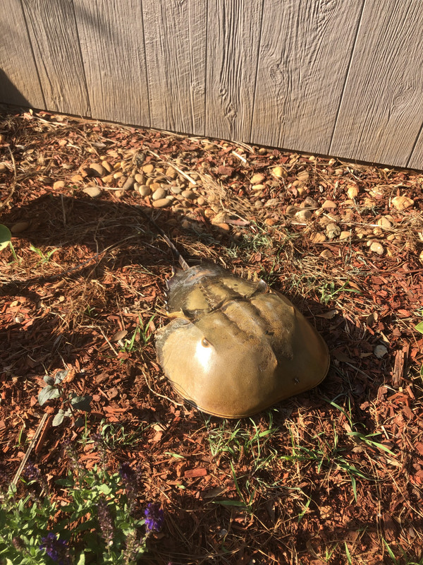 CE3C2080-0FF9-4075-8CD2-C6ECEA2F4EDD