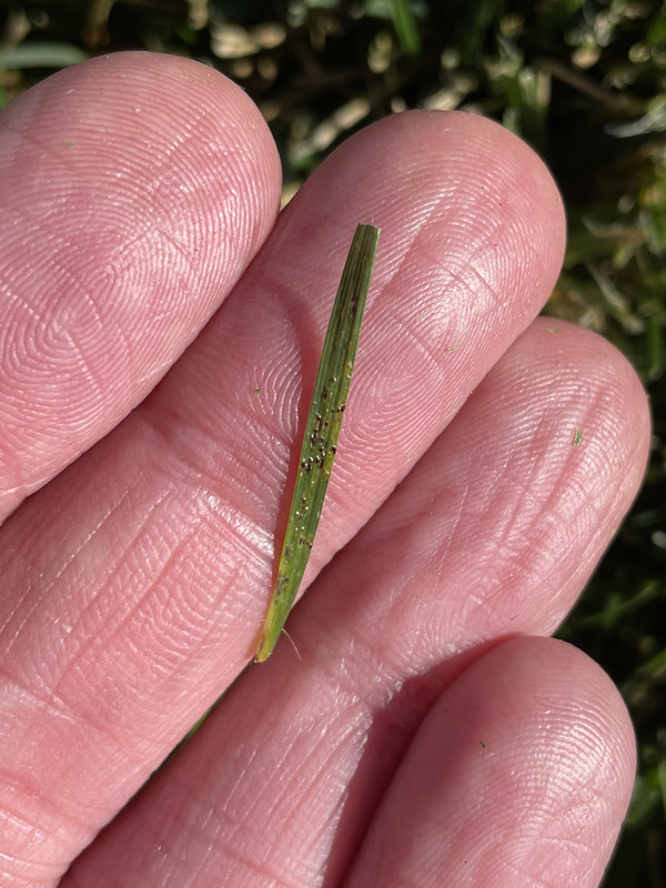 C153111C-D6A5-414A-8403-C212CA0C6569