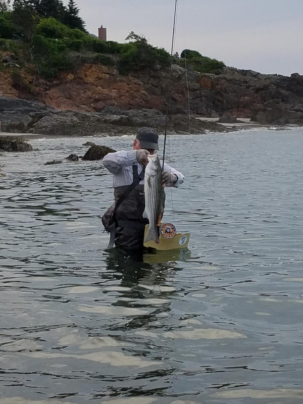 Resized_20240626_193903_2967