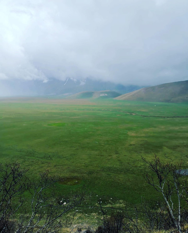 119904CD-B066-4A87-8180-1B2C038FDF04