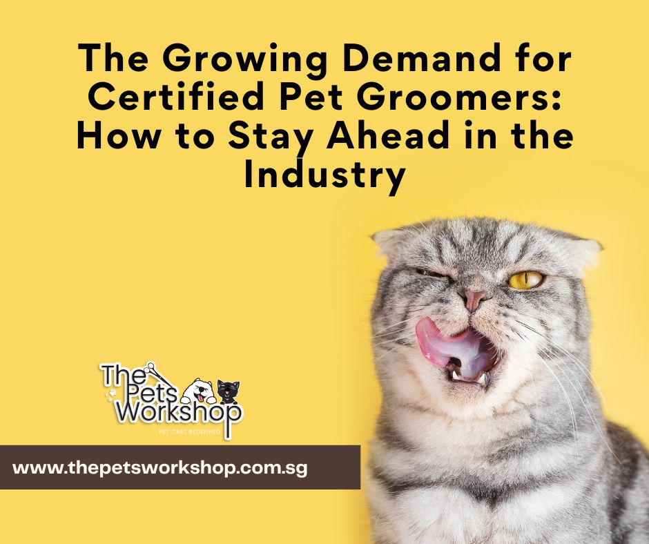 Certified Pet Groomers
