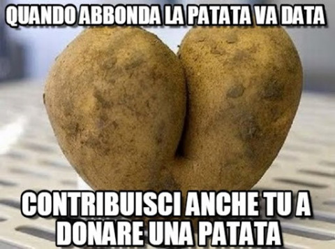 8aqibcc7d5-vaccata_a