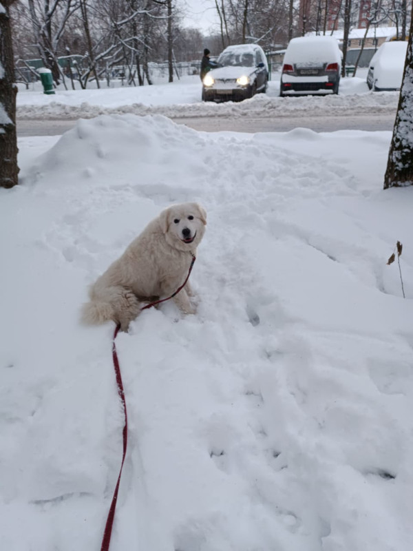 FC5CA94E-8562-4F40-924D-9AED0A4DAA23