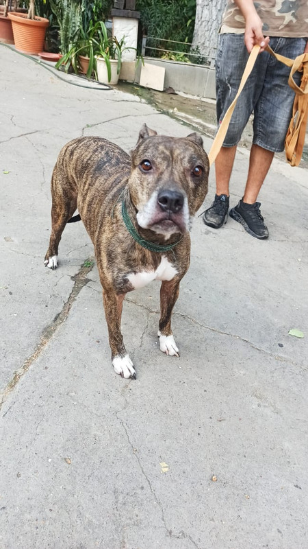 WhatsApp Image 2022-08-14 at 13.40.30 (2)